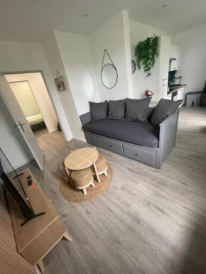 F4 Élégant - Strasbourg Cosy